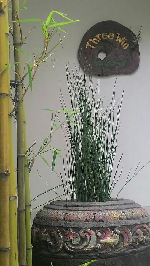 Threewin Homestay Ubud   Ubud (Bali)