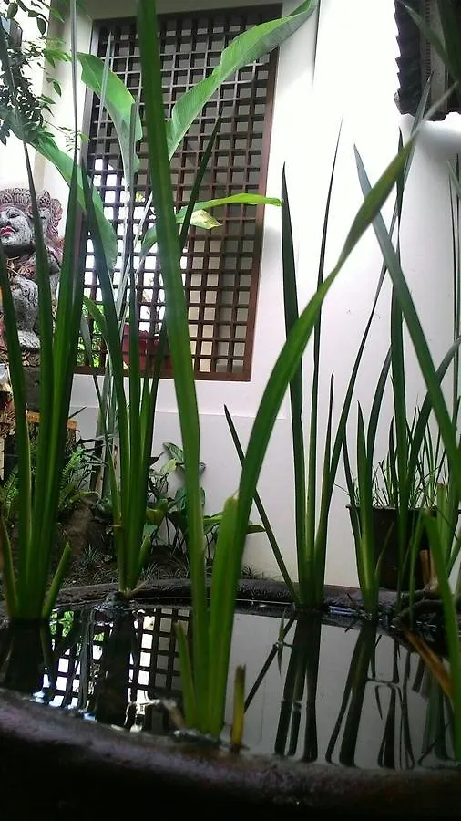 Threewin Homestay Ubud   Ubud (Bali)