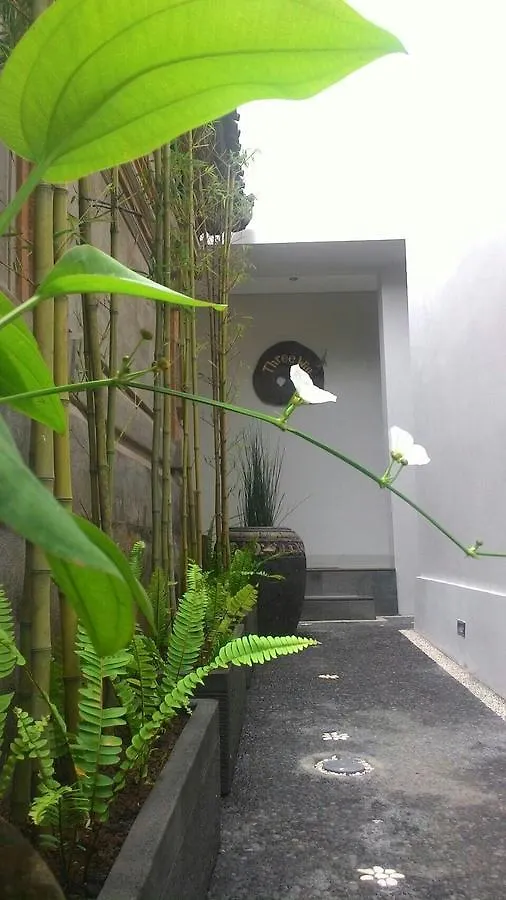 Threewin Homestay Ubud  Indonesia
